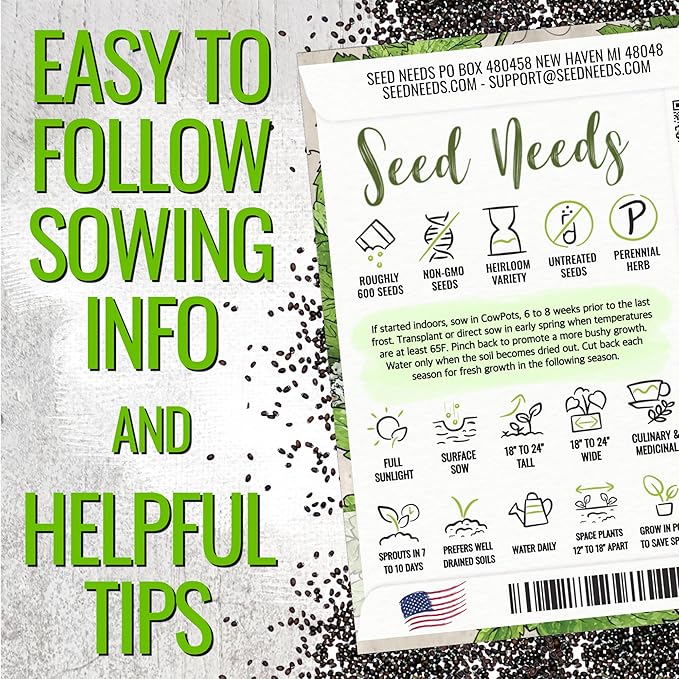 Seed Needs Catnip Seeds for Planting Nepeta cataria - Non-GMO Heirloom & Untreated Herb Seed to Plant & Grow an Outdoor Home Grown Garden (20 Packs)