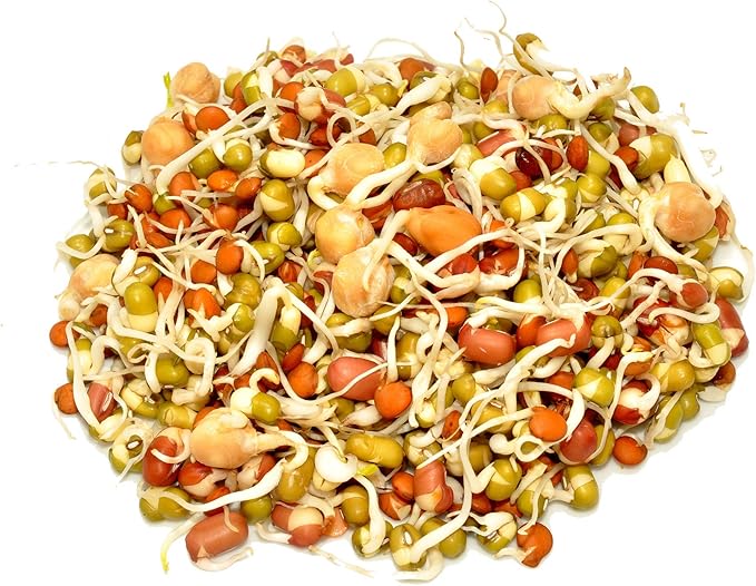 Handy Pantry Organic Salad Sprouting & Microgreens Mix – 35 LB – Non-GMO, High-Germination Blend of Alfalfa, Broccoli, Lentil, Mung Bean & Radish Seed – Fresh, Crisp Sprouts & Nutritious Micro Green