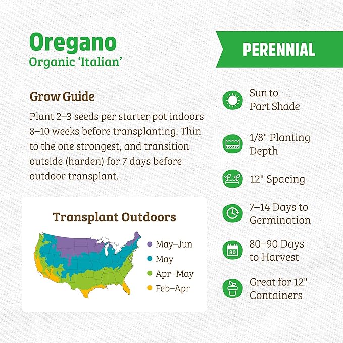 Back to The Roots 100% Organic Seed Packet - Oregano 'Italian' 70mg