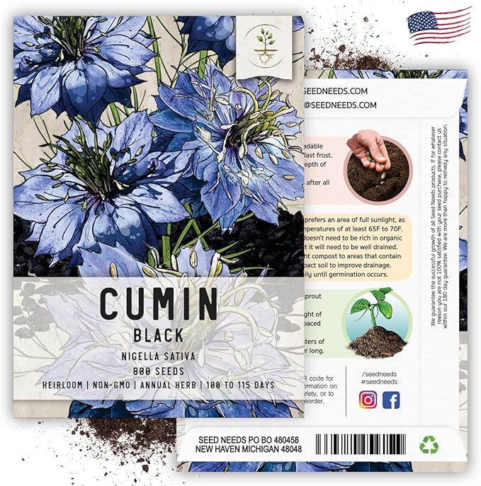 Seed Needs, Black Cumin Seeds - 800 Heirloom Seeds for Planting Nigella Sativa - Non-GMO & Untreated Medicinal Herb for Asthma, Headaches, Inflammation (1 Pack)