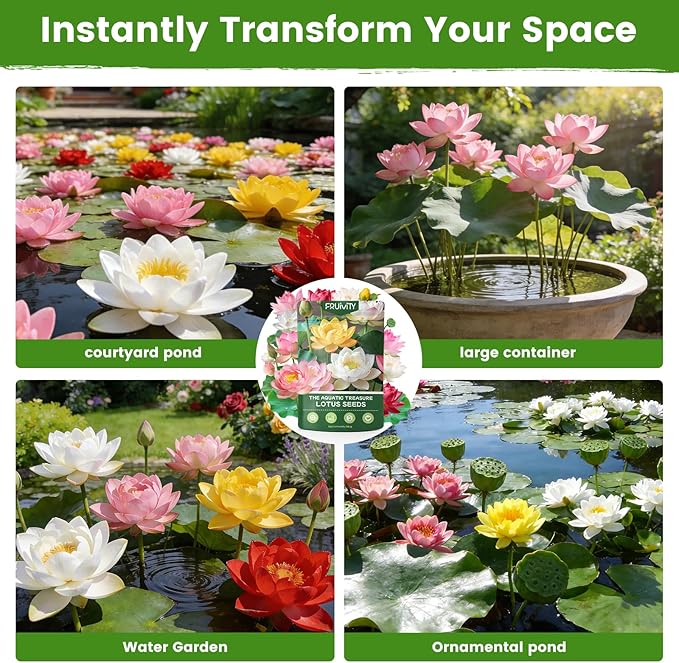 30 PCS Lotus Seeds for Planting in Water - Mixed Color Bowl Lotus Seeds, Aquatic Plant Water Lily Seeds for Indoor Bonsai, Outdoor Ponds & Garden