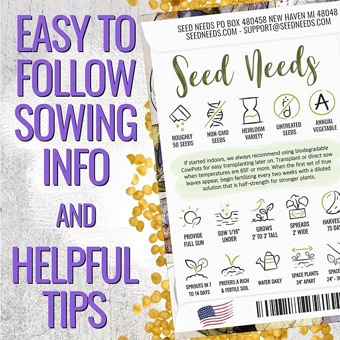 Seed Needs Purple Tomatillo Seeds for Planting - Non-GMO Heirloom & Untreated Annual Veggie Seed to Plant a Home Grown Vegetable Garden Outdoors (2 Packs)