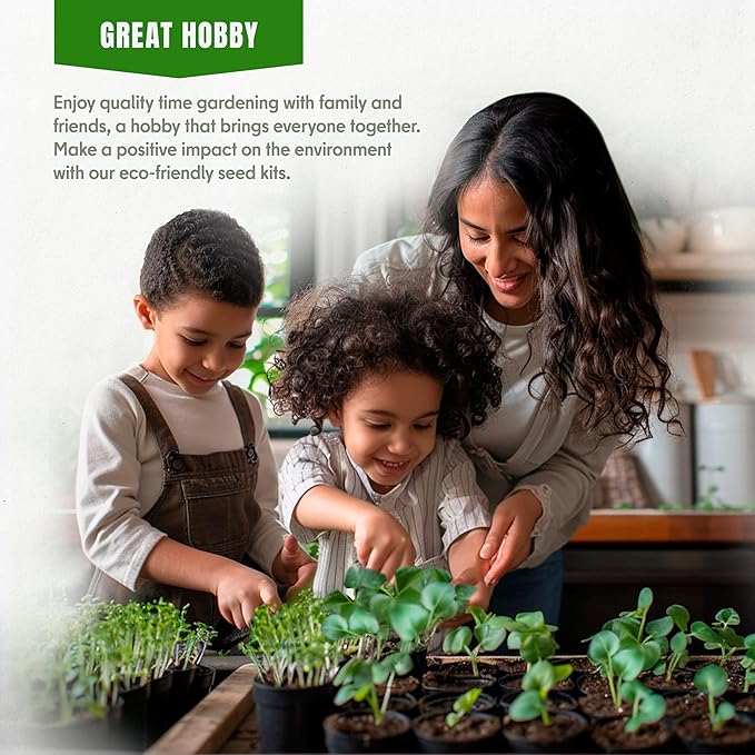 Jalapeno Pepper Seeds for Planting – 50 Medium Hot Jalapeno Seeds, 2500–8000 SHU, Non-GMO Heirloom, High Germination, Indoor & Outdoor Garden (Capsicum annuum)