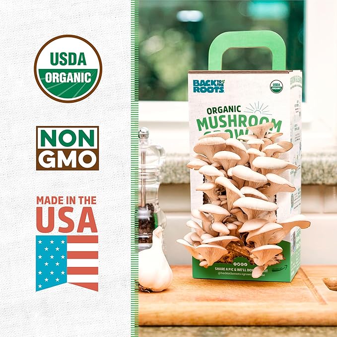 Back to the Roots Organic Oyster Mushroom Grow Kit, Harvest Gourmet Mushrooms In 10 Days