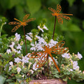 3 Pcs Rusty Dragonfly Stake Vintage Metal Garden Decor Sculpture - Plant Pot Accents for Lawn, Patio, Backyard Outdoor | Dragonfly Gift for Women