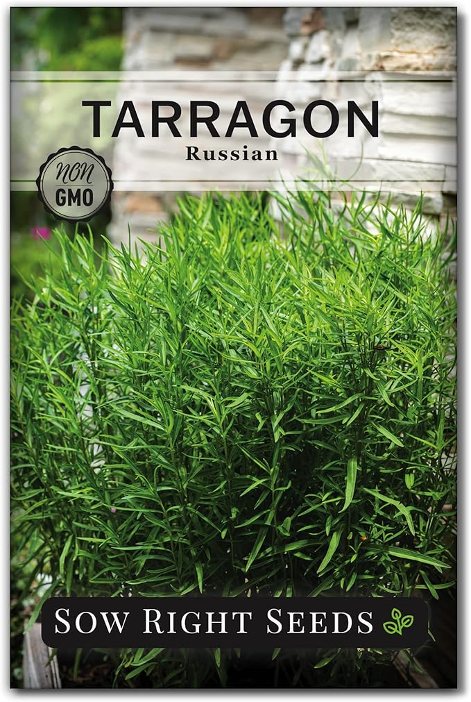 Sow Right Seeds - Russian Tarragon Seeds for Planting - Little Dragon - Non-GMO Heirloom Packet with Instructions for Planting a Beautiful Herb Garden - Rare Culinary Herbs for Home Gardening (1)