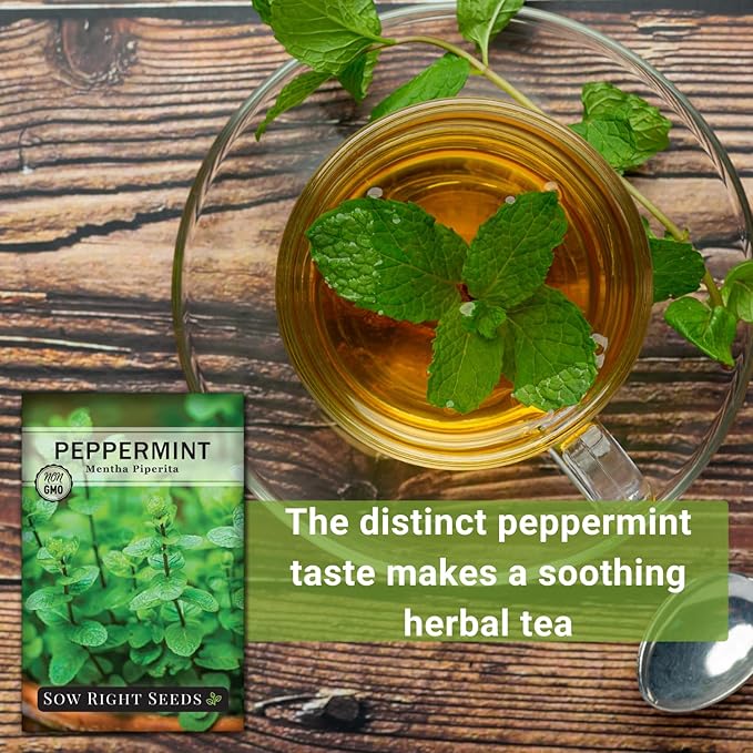 Sow Right Seeds - Peppermint Seeds for Planting - Non-GMO Heirloom Packet with Instructions for Easy Planting and Growing an Herbal Tea Garden - Indoors or Outdoor - Medicinal & Culinary (2)