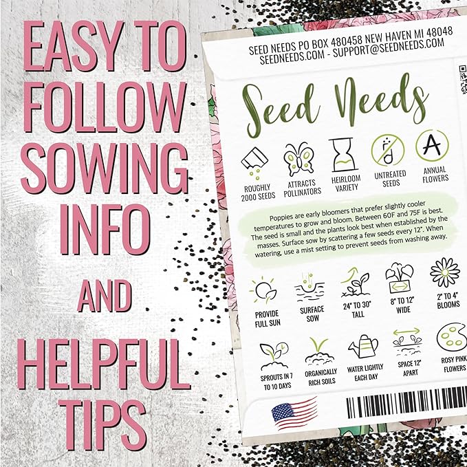 Seed Needs Pale Rose Peony Poppy Seeds for Planting - Heirloom & Open Pollinated Annual Flowers - Pink Ruffled Blooms to Attract Butterflies to The Garden (5 Packs)