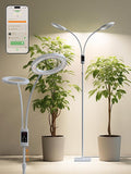 Smart Grow Lights for Indoor Plants,48W 2-Head Plant Light with Auto-Timer, Full Spectrum LED Grow Light, Adjustable Height & Stepless Dimming,Plant Assistant Suitable for Most Plants (White, 48W)