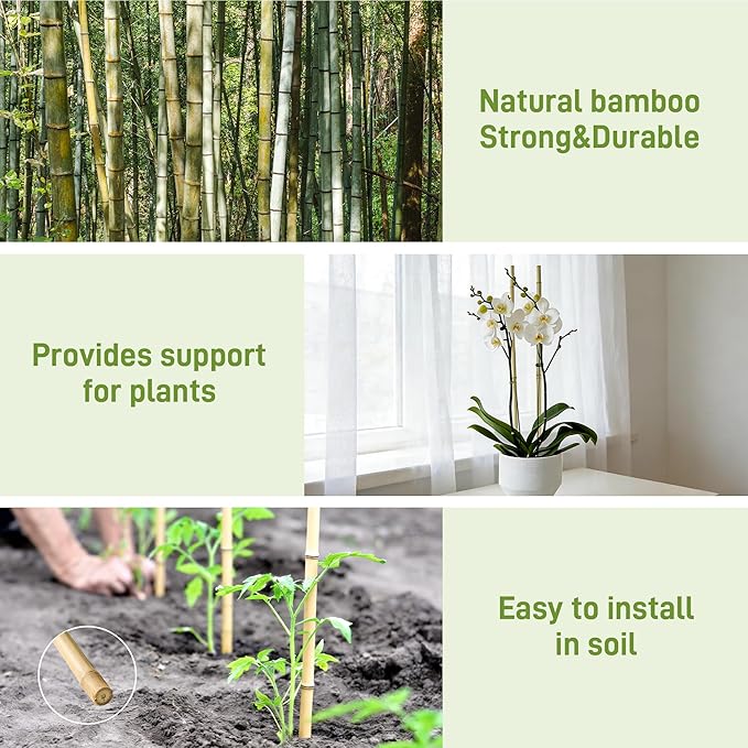 50Pcs Garden Stakes, 0.32”/16 Inch Bamboo Sticks，Natural Plant Stakes for Indoor and Outdoor Plants，Poles for Tomatoes, Beans, Potted Plants