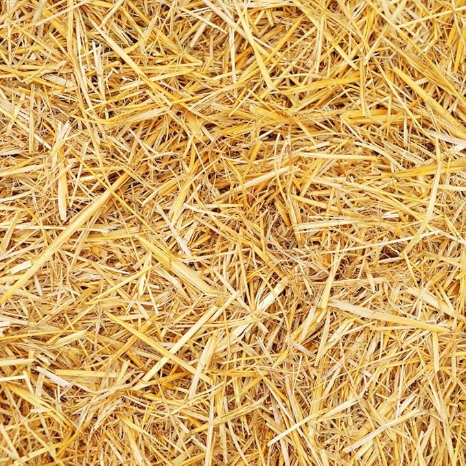 Premium Wheat Straw Growing Substrate – Clean, Dried & Chopped – Ideal for Mushroom Cultivation, Garden Mulch, Worm Bedding & Composting (4 Ounces)