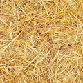 Premium Wheat Straw Growing Substrate – Clean, Dried & Chopped – Ideal for Mushroom Cultivation, Garden Mulch, Worm Bedding & Composting (12 Ounces)