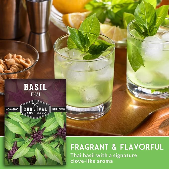 Thai Basil Seeds for Planting – Sweet Thai Basil with Anise Flavor for Asian Cooking – Heirloom Non-GMO Herb Seed for Indoor or Outdoor Gardens – Survival Garden Seeds (2 Pack)