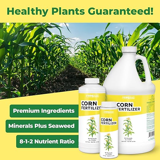 Corn Fertilizer – Liquid Plant Food for Bigger Ears, Strong Stalks & Healthy Kernel Development, 8 oz