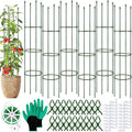 6 Pack Tomato Cages for Garden Plant Support 64 Inches Tall Garden Trellis Plant Stakes for Indoor Outdoor Plants Climbing Plants Vegetable Fruit Crop Flower Vine, Green