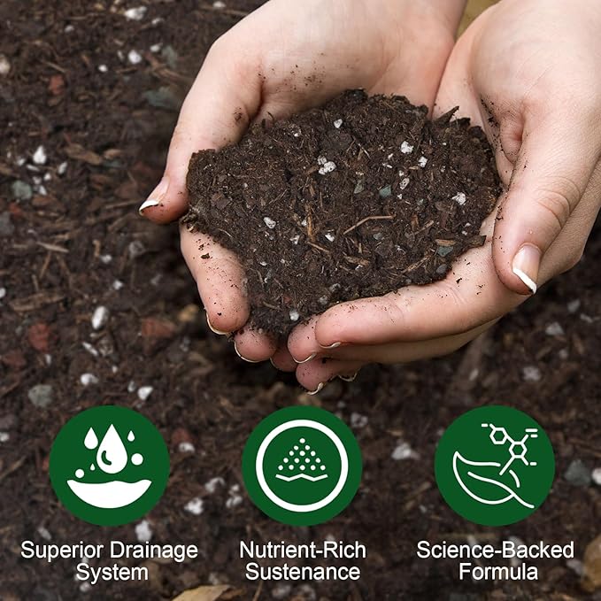 Organic Desert Rose Potting Soil Mix for Healthy Growth 2qt- 100% Natural Potting Mix - Specially Formulated Nutrient-Rich Plant Soil for Desert Rose Plant