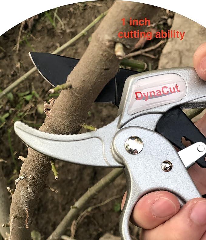 Ratcheting Pruning Shears Gardening Heavy Duty 8'', Professional Ratchet Pruning Scissors Cutter Anvil Clippers - Tree Trimmers Up To 20mm Cutting Capacity, Soft Non-Slip Grip Reduce Hand Fatigue