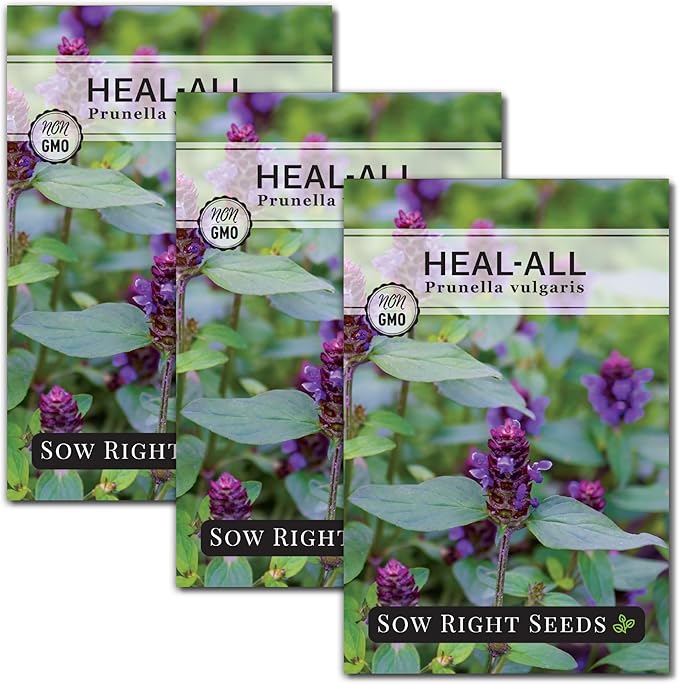 Sow Right Seeds - Heal-All Seeds for Planting - Self Heal Prunella Vulgaris - Non-GMO Heirloom Medicinal Herb - Grow Your Own Wildflower Garden - Attracts Pollinators - Easy to Grow in Gardens (3)