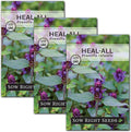 Sow Right Seeds - Heal-All Seeds for Planting - Self Heal Prunella Vulgaris - Non-GMO Heirloom Medicinal Herb - Grow Your Own Wildflower Garden - Attracts Pollinators - Easy to Grow in Gardens (3)