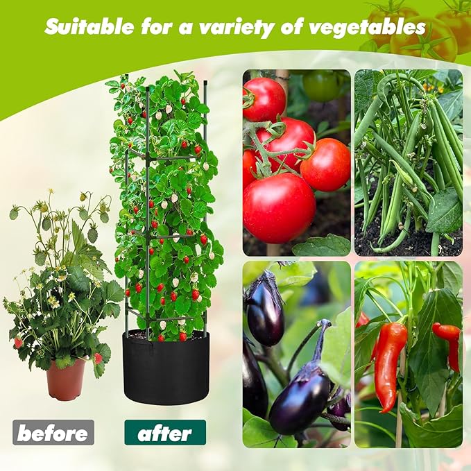3 Pack Tomato Cages 55 x 12 Inch for Garden with 11 Gallon Round Grow Bags Planter Pots with Heavy Duty Triangle Trellis Plant Stakes Support Frames for Cucumber Vegetables Flowers