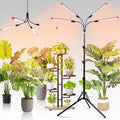 FECiDA Gamechanger! 36 Watt Power Draw, NO Need Adapter, 4Head Grow Light with Tripod Stand, 2026 Big Coverage LED Grow Lights for Indoor Tall Plants, Bonsai Tree, 4/8/12/16/20H Timer