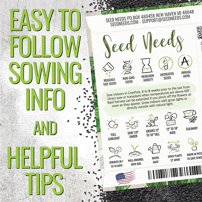 Seed Needs Sweet Genovese Basil Seeds for Planting - Non-GMO Heirloom & Untreated Culinary Herb Seed to Plant an Indoor or Outdoor Home Grown Kitchen Garden (1 Pack)