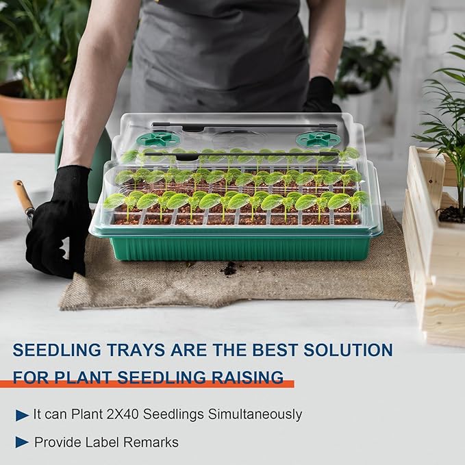 Nandae Seed Starter Tray with Grow Light, 2 Pack 80 Cells Seedling Tray Kit with Humidity Hood and Drainage Hole, Adjustable Light & Timing, Perfect for Indoor Seed Cultivation