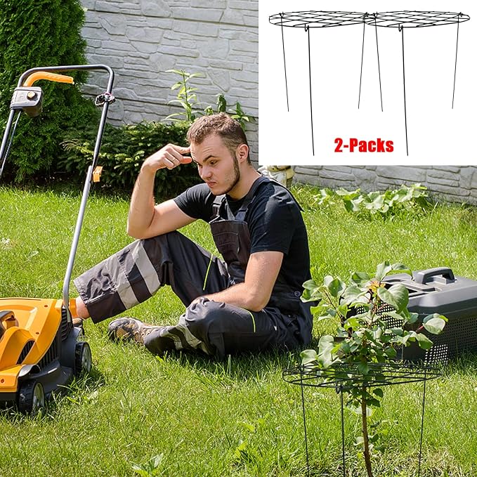 2 Pack Round Peony Cages and Supports Grow Through Grid Plant Brace,24 inch Heigh Plant Support Stake for Small Plant Flower Vegetable (2pcs 24“)
