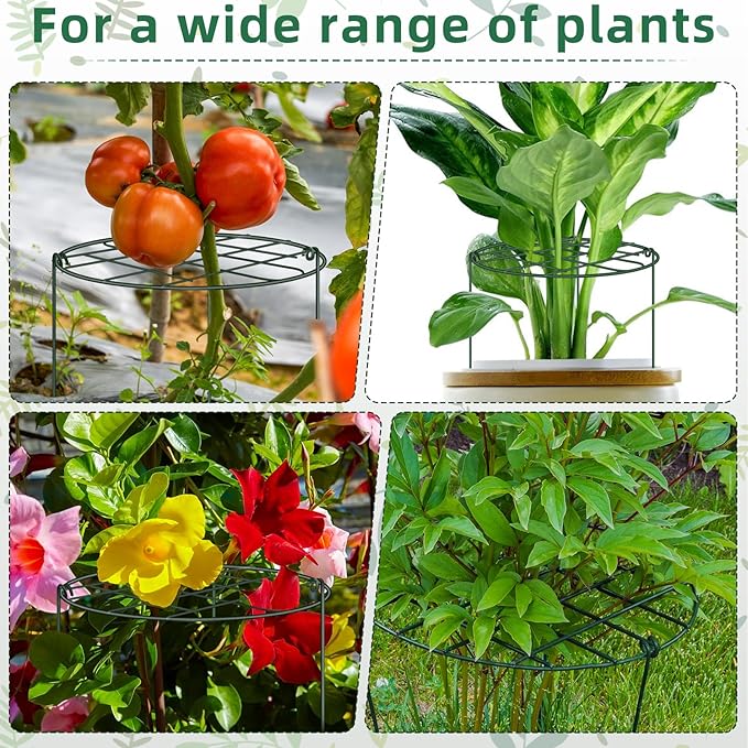 NNG 6 Pack Peony Cages and Supports 12 x 16 Inch Grow Through Plant Supports for Outdoor Plants,Plant Brace Flower Support Rings Hoops for Vegetables,Rose,Tomato,Orchids