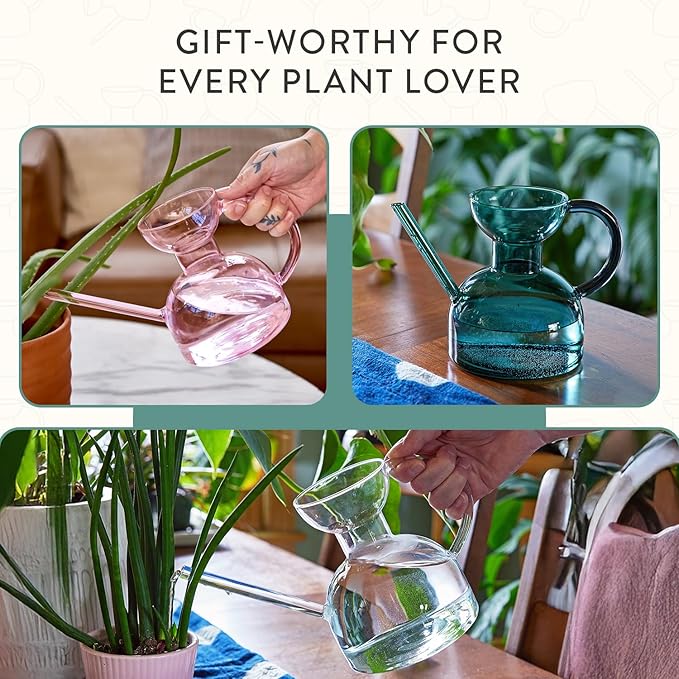 Modern Sprout Plant Watering Can - Handcrafted from Borosilicate Glass - Long Spout Vessel for Indoor Plants - 32 Oz Capacity - Multipurpose Watering Can and Flower Vase - Gift for Mother's Day (Teal)