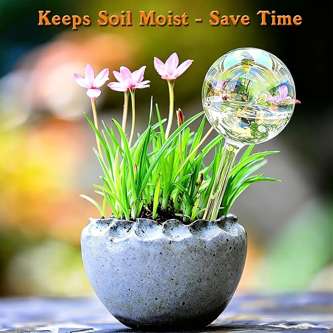 Glass Self-Watering Globes – Rainbow Clear Glass Self Watering Planter Insert for Indoor Outdoor Pot, Plant Watering Device for Vacation Plant Care, Drip Irrigation System, Garden Patio Hanging Plant