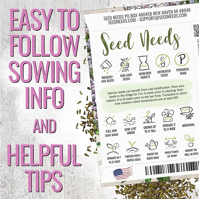 Seed Needs Valerian Seeds for Planting Stink Root Plants - Non-GMO Heirloom & Untreated Perennial Medicinal Herb Seed to Plant a Home Grown Outdoor Garden (1 Pack)