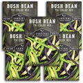 Survival Garden Seeds - Tri-Color Bean Seed for Planting - 5 Packs with Instructions to Plant and Grow Yellow, Purple, and Green Bush Beans in Your Home Vegetable Garden - Non-GMO Heirloom Variety