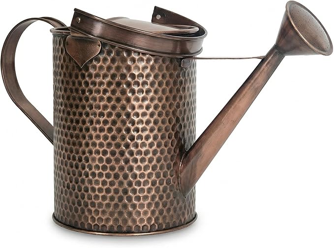 Gardenised 1 Gallon Galvanized Metal Watering Can with Removable Long Spout & Sprinkler Head for Indoor & Outdoor Use Ideal for Garden Flowers Potted Plants Houseplants Modern Home Accessories, Brown