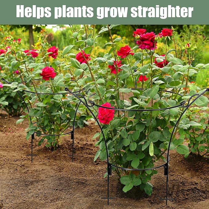 2 Pack Large Peony Cages and Supports,23.2" H X 13.4" D Metal Peony Support Rings,Tall Plant Support Garden Stakes for Outdoor Plants and Other Flopping Flowers
