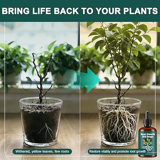 Root Drops, Root Growth Aid Drops, Rooting Hormone for Cuttings, Houseplant Prop Drops, Propagation Drops for Faster Roots & Less Shock, Liquid Formula for Indoor Water & Soil Propagation (4 OZ)