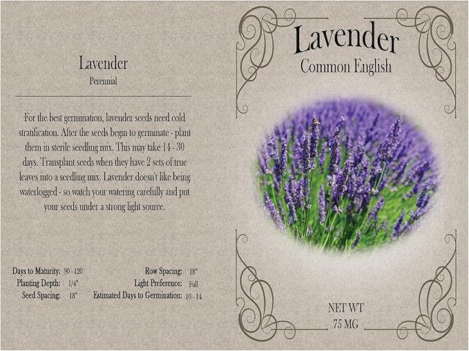 Set of 62 Premium Variety Flower Seed Packets - Heirloom Non-GMO and Proudly Sourced in The USA (62)