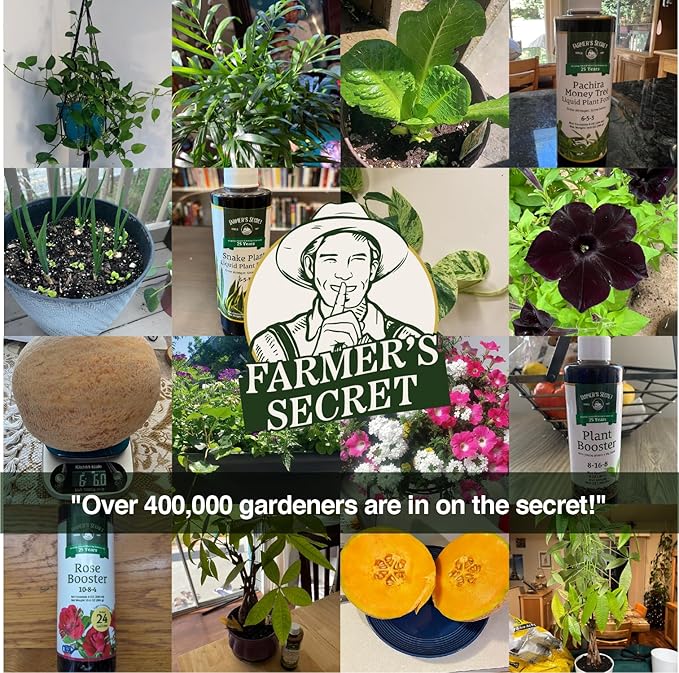 Farmer’s Secret Soil Revitalizer (128oz) - Organic (OMRI Listed) Dirt Health Booster - Liquid Compost Soil Amendment - Activated Humic Acid - Great for Fall/Spring Application