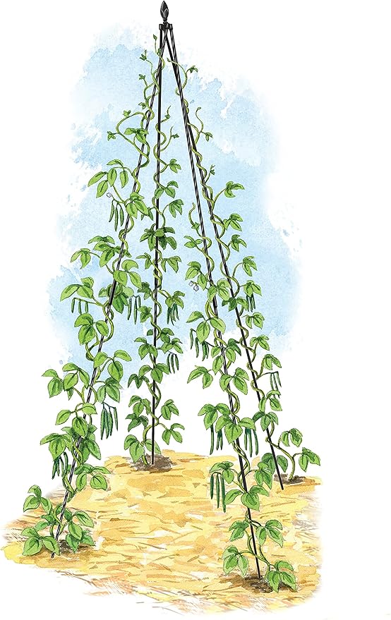 Gardeners Supply Company Extra Tall Garden Teepee Trellis | Sturdy Plant Support for Peas, Beans, Squash, and Other Garden Climbing Vine Plants | Quick and Easy Setup - 87" H