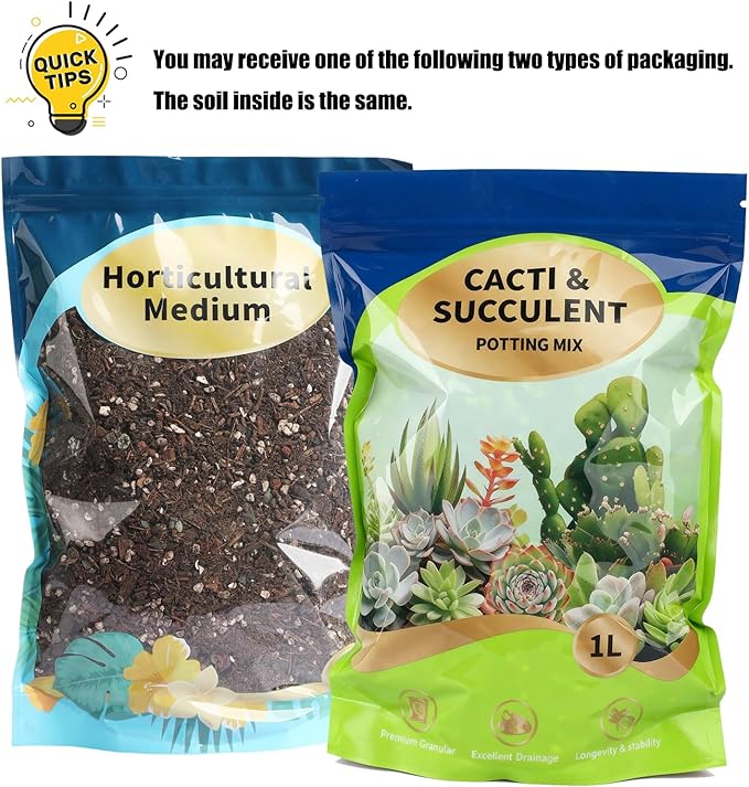 Succulent & Cactus Soil Potting Mix 1qt, Chunky Dirt with Fast Draining Fits for Bonsai, Terrarium and Houseplant