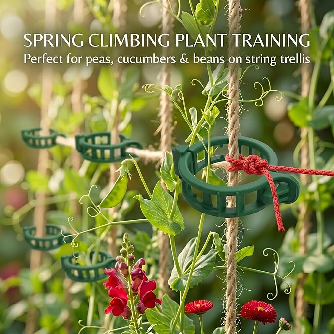 300Pcs Tomato Clips, Reusable Plant Support Clips for Climbing Plants, Garden Clips for Tomato Vine, Trellis Clips for String Trellis, Plant Fixing Clips for Vegetables (Green)