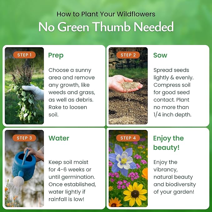 Created By Nature Utah Wildflower Seed Mix, 14 Flower Varieties, 53,000 Seeds