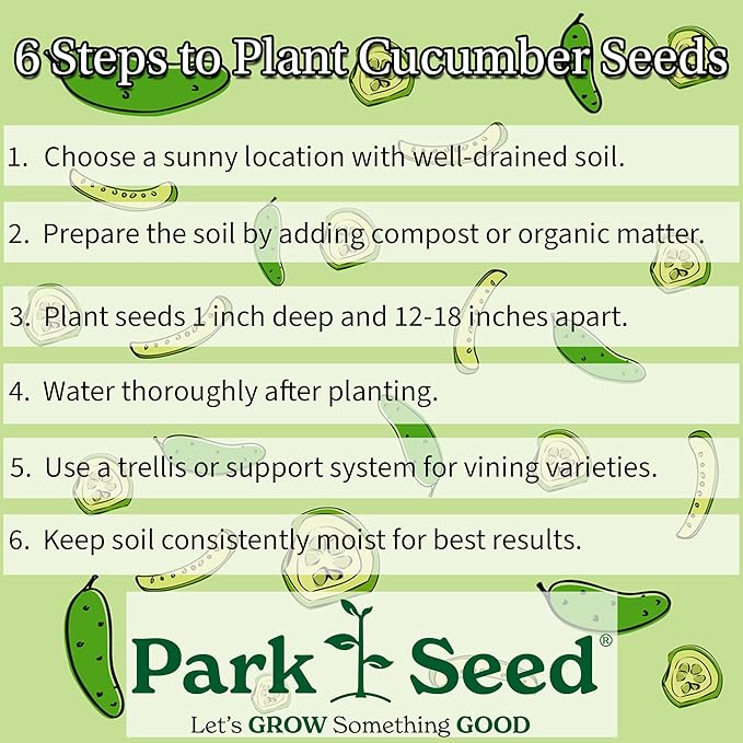 Park Seed Variety of Cucumber Seeds, Planting Cucumbers, Vegetable Seeds, Easy to Grow, Non-GMO, Perfect for Harvesting, Diva, Pack of 250