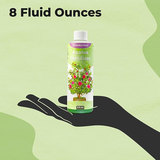 Liquid Azalea Fertilizer by Perfect Plants | Best Plant Food to Enhance Blooms, Brighten Colors, & Improve Soil Content for All Azaleas & Rhododendron | Instantly Release Nutrients to the Shrub