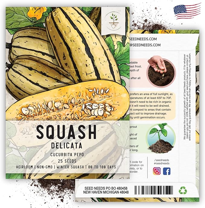 Seed Needs, Delicata Squash Seeds - 25 Heirloom Seeds for Planting Cucurbita Pepo - Winter Squash to Plant an Outdoor Garden, Non-GMO & Untreated (1 Pack)