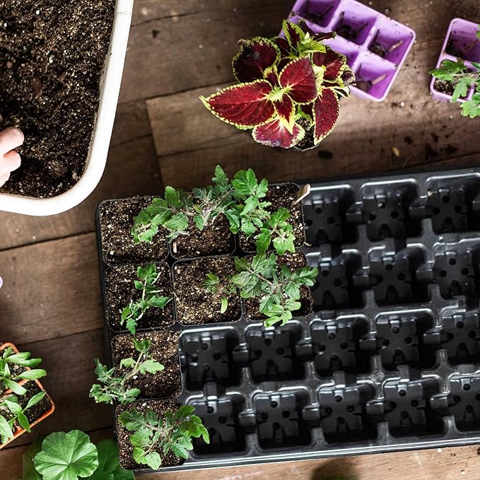 Bootstrap Farmer Extra Strength 32 Cell Seedling Starter Trays w/Inserts, 10 Pack, for Seed Germination, Plant Propagation, Growing Trays, Planting Starter