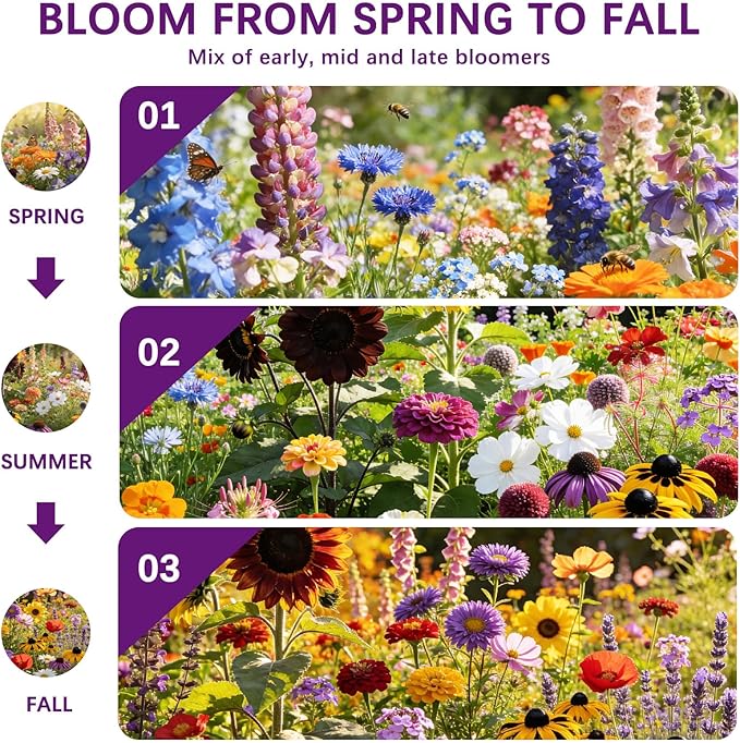 Wildflower Seeds Mix 1/2 lb 36 Varieties Perennial& Annual Flower Seeds Set for Planting，Non-GMO Heirloom Seed, Bulk Wild Flower Seeds for Indoor & Outdoors, Individual Seed Packets for Home Garden