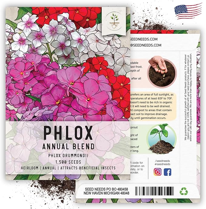 Seed Needs Annual Phlox Seeds for Planting a Colorful Mixture of Flowers - Heirloom & Open Pollinated Wildflowers to Attract Butterflies and Other Pollinators to an Outdoor Garden (2 Packs)