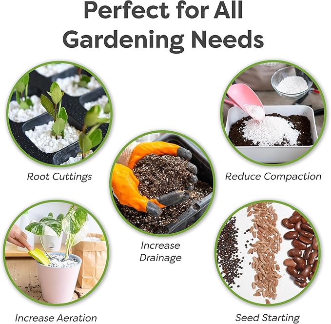 Organic Perlite by Perfect Plants — Add to Soil for Indoor & Outdoor Container Plants for Drainage Management and Enhanced Growth (4qts.)