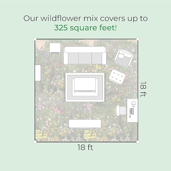 Created By Nature Oregon Wildflower Seed Mix, 20 Flower Varieties, 60,000 Seeds